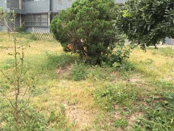 京都花园 林园路16号 北京京都花园二手房 租房 北京安居客