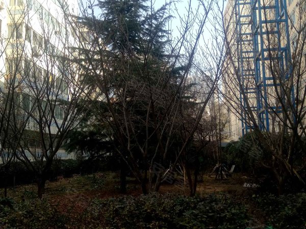 张苏滩高新区市政家园小区