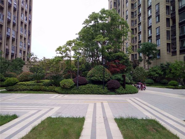 龙湖名景台(公寓),同协路,近杭玻街-杭州龙湖名景台(公寓)二手房,租房