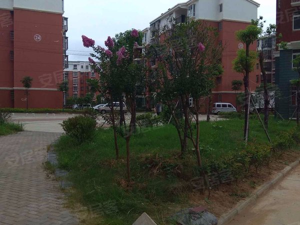 武汉小区 黄陂小区 横店小区 空港花园 实景图 1/ 15  