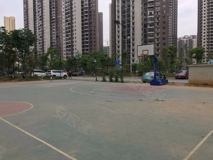 左岭社区人口_社区人口普查照片