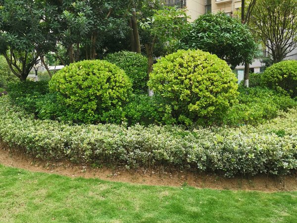 中国铁建国际城h3h4组团