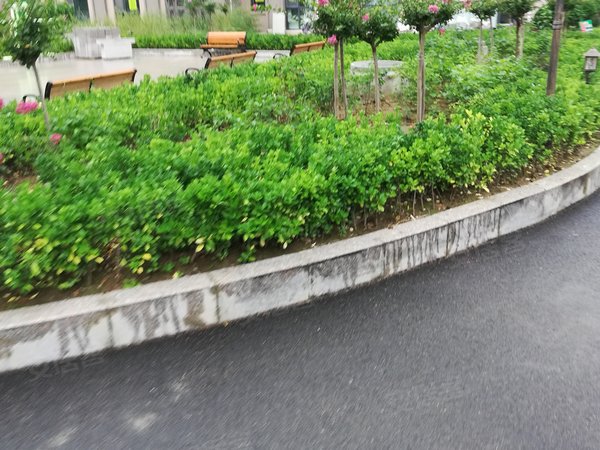 烟台小区 海阳小区 海滨中路小区 半山豪庭 实景图 1/ 5  &