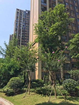 蓝润城体育馆旁 3000亩湿地公园 大平层带装修 环境好宜居