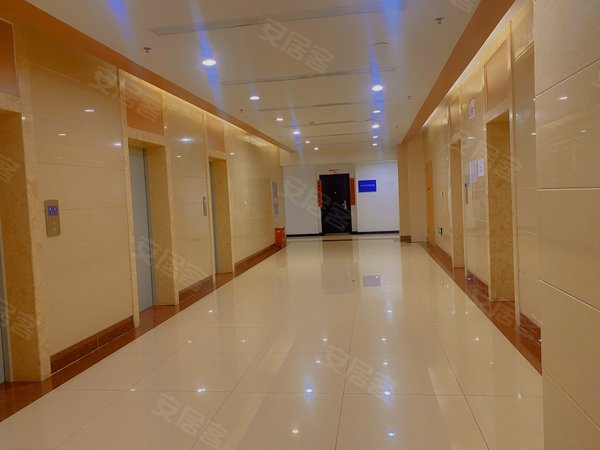 【多图】新百附近 乐汇城 中山大经街 北国商城商圈 小面积60平朝南