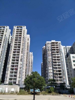 花千树苑(五六期),大亚湾大道-深圳花千树苑(五六期)二手房,租房-深圳