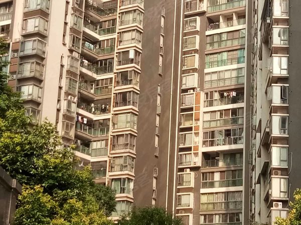 鸿阁新座 天府大道南段866号 成都鸿阁新座二手房 租房 成都安居客