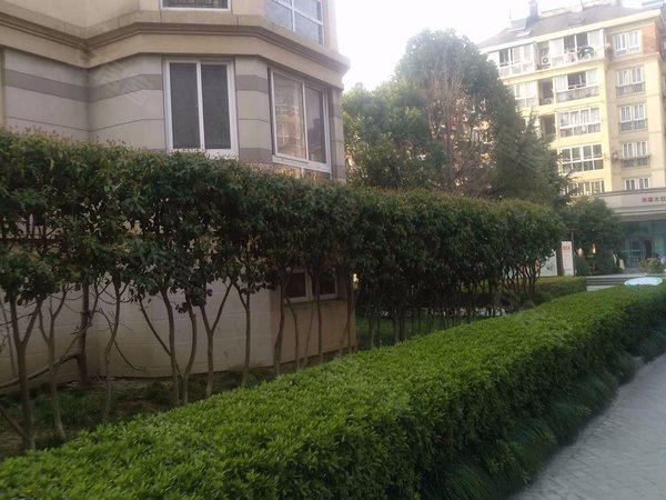 香溢公寓(北区),桃园路76号-海宁香溢公寓(北区)二手房,租房-海宁安居