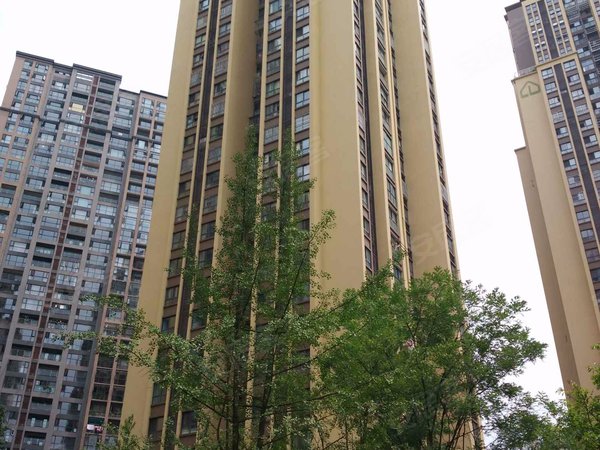 海棠佳苑,红豆树街77号-成都海棠佳苑二手房,租房-成都安居客