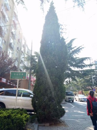 【李沧】李村万达旁紧挨李沧国税双南向套二厅