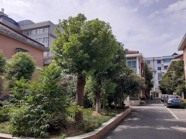 湖州小区 长兴小区 长兴市区小区 明珠花园