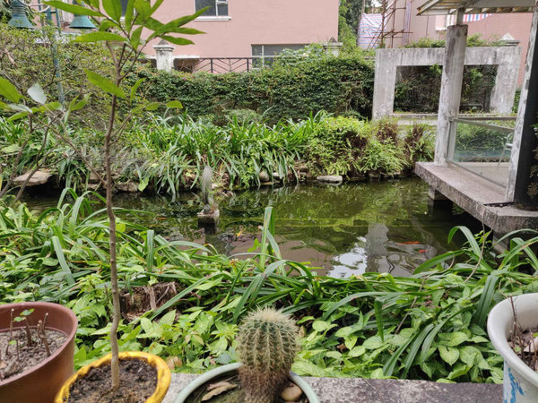 翡翠花园 翠康街 广州翡翠花园二手房 租房 广州安居客 翡翠花园 翠康街 广州翡翠花园二手房 租房 广州安居客
