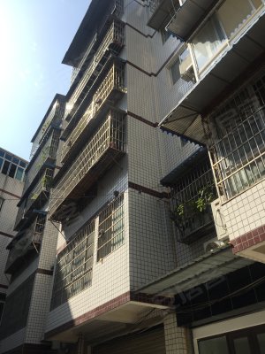 成都小区 新都小区 龙桥小区 海鸿制衣厂宿舍实景图 1/ 12  