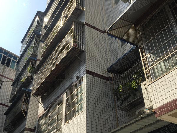 成都小区 新都小区 龙桥小区 海鸿制衣厂宿舍实景图 1/ 12  