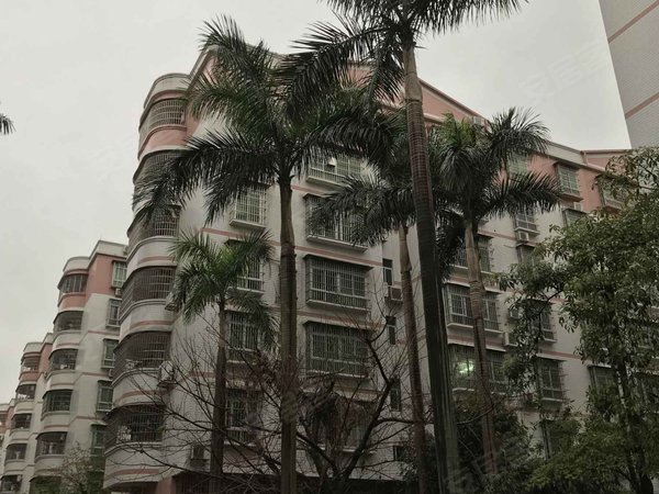 宝丽花园 宝堤东路18号 江门宝丽花园二手房 租房 江门安居客