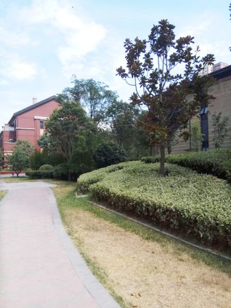 水半湾 四室两厅 中等装修 带书房 全明户型