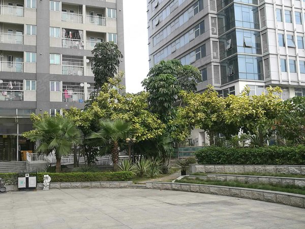 深圳小区 深圳周边小区 东莞小区 泰安城 实景图 1/ 19  