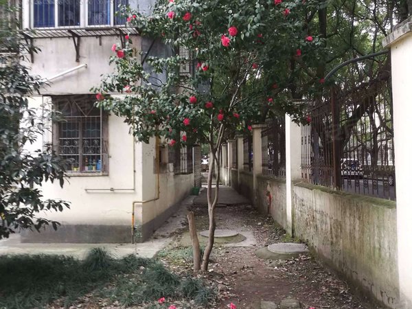 富巷新村南一小区,鸳鸯南路-余姚富巷新村南一小区二手房,租房-余姚