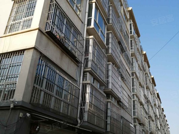 聊城小区 东阿小区 铜城街道小区 北关新村实景图 1/ 10  &