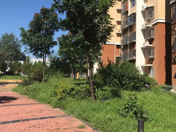 北京小区 怀柔小区 怀柔城区小区 裕华园一区 实景图 1/ 21 