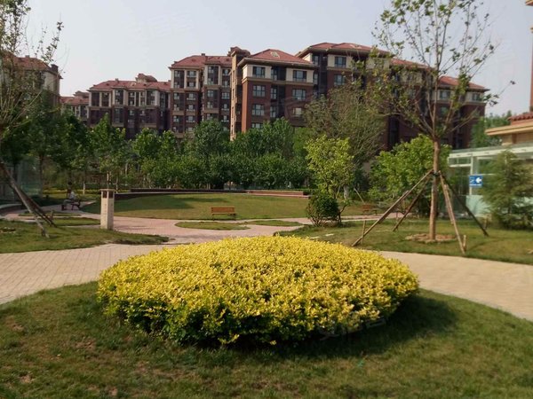 天津小区 大港小区 古林街小区 滨海星河荣御 实景图 1/ 12 