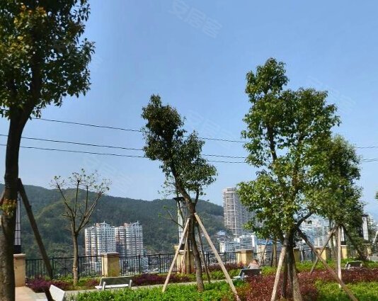 南平小区 延平小区 延平小区 新城花园 实景图 1/ 5  