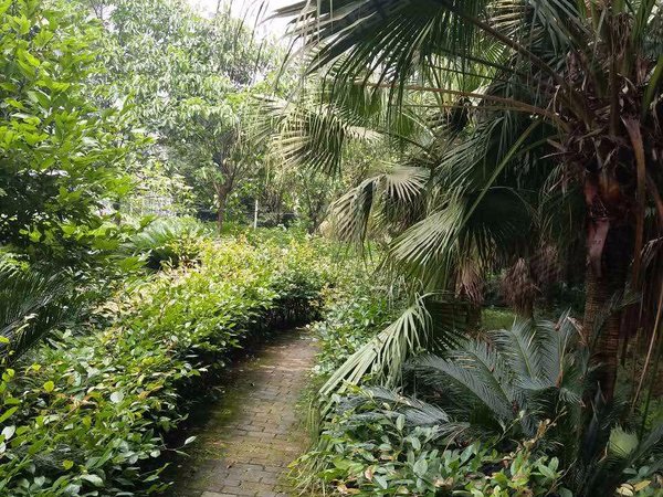 惠丰居,四达路15号-重庆惠丰居二手房、租房-重