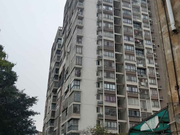 乐和紫云华府(公寓),东环大道-柳州乐和紫云华府(公寓)二手房,租房