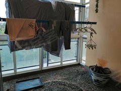 焦作市博爱县2020年gdp_焦作市博爱县丁美玲