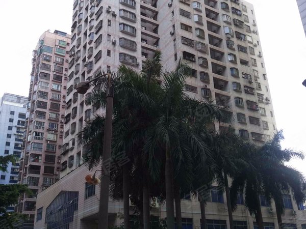 华轩大厦 金田路22号 深圳华轩大厦二手房 租房 深圳安居客