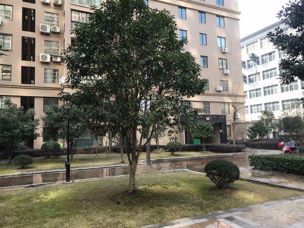 金华小区 东阳小区 东阳江北小区 时代雅居(北区)