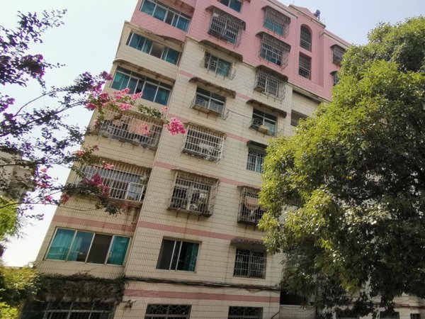 贵阳小区 清镇小区 城区小区 人民银行宿舍实景图 1 8#xe