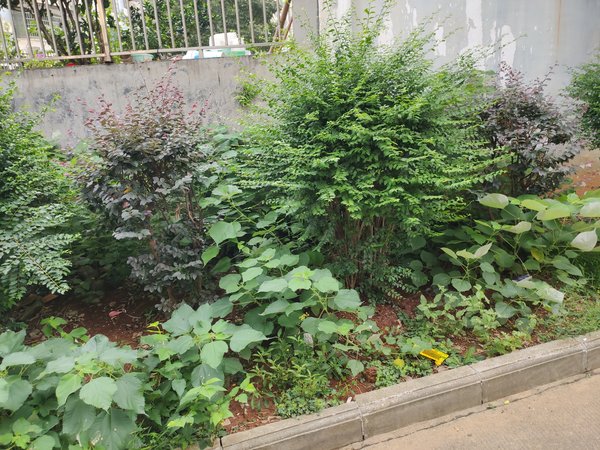 滨江茗园,建新路-湘阴滨江茗园二手房,租房-湘阴安居客