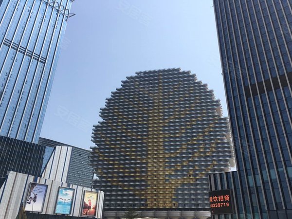 珠海房产网>珠海小区>横琴小区>横琴口岸小区>横琴梧桐树大厦>实景图1