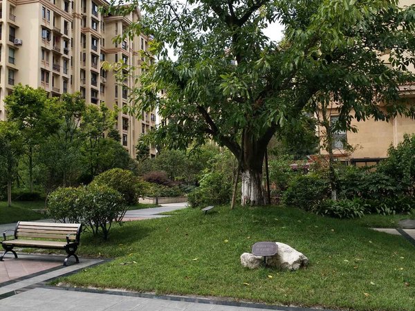 成都小区 都江堰小区 都江堰城区小区 钱江美域实景图 1/ 14 