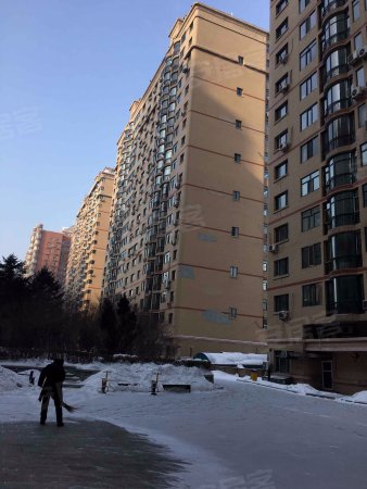 【多图】龙塔旁边金桂园使用80米报价125万封闭小区-孙鹏店铺-哈尔滨