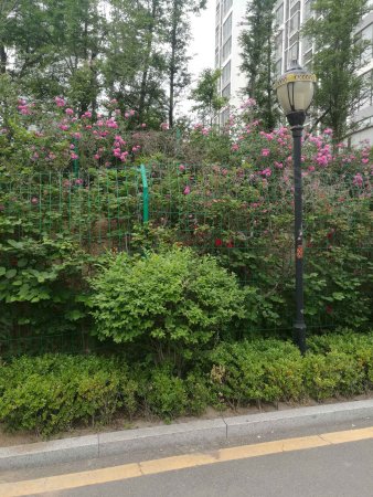 【多图】衡山路地铁口,好房子华裕开发商,南北