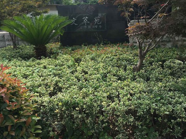 文萃苑,文萃路377号-苏州文萃苑二手房,租房-苏州安居客