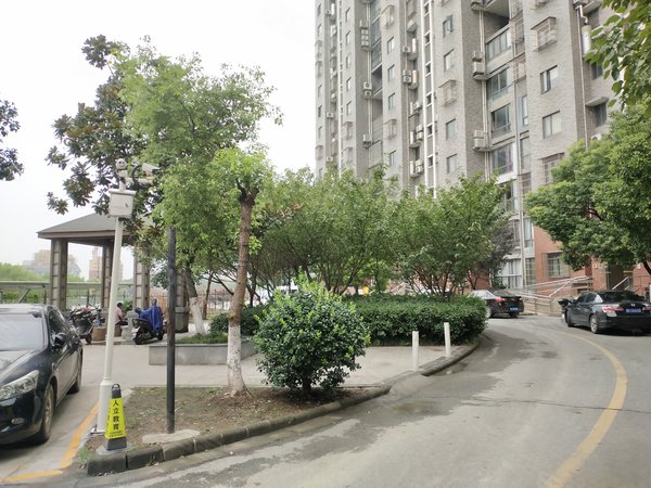 湖州小区 南浔小区 浙北大厦小区 玫瑰半岛花园