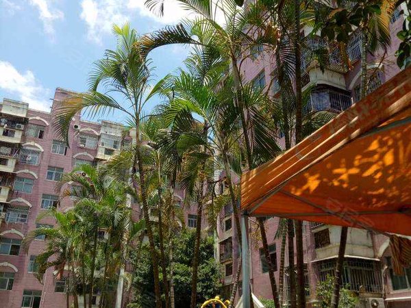 宝海花园,甲岸路96号-深圳宝海花园二手房,租房-深圳安居客