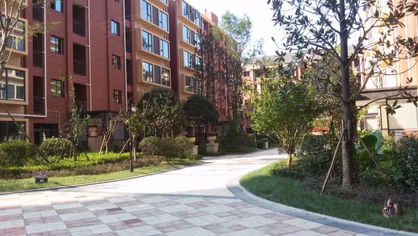 急 售誉府仕家 精装套三 近凤凰湖新城区标杆价格低可以做比较