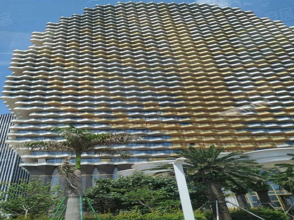 珠海房产网>珠海小区>横琴小区>横琴口岸小区>横琴梧桐树大厦>实景图1
