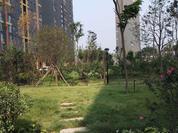 郑州小区 新郑小区 新郑龙湖小区 > 龙湖百合花园  实景图 1/ 17 