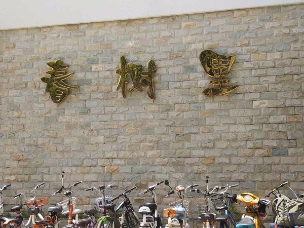 春树里