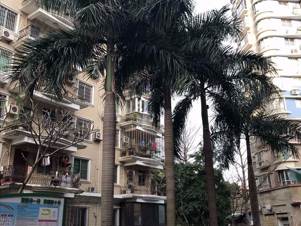 金帝花园,岳阳西里116-130号,仙岳路189-193号 - 厦门金帝花园二手房