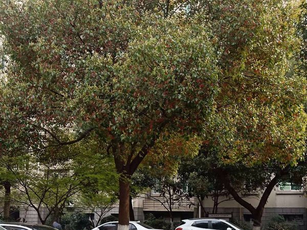 河畔花园,茅盾西路215号-桐乡河畔花园二手房,租房-桐乡安居客