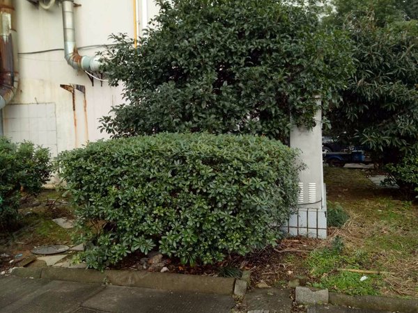 塔山花园,塔山路242号-象山塔山花园二手房,租房-象山安居客