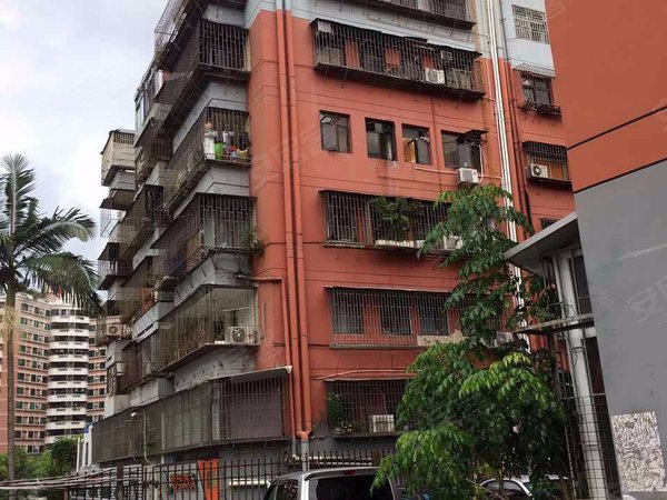 29号大院 东门北路2075号 深圳29号大院二手房 租房 深圳安居客