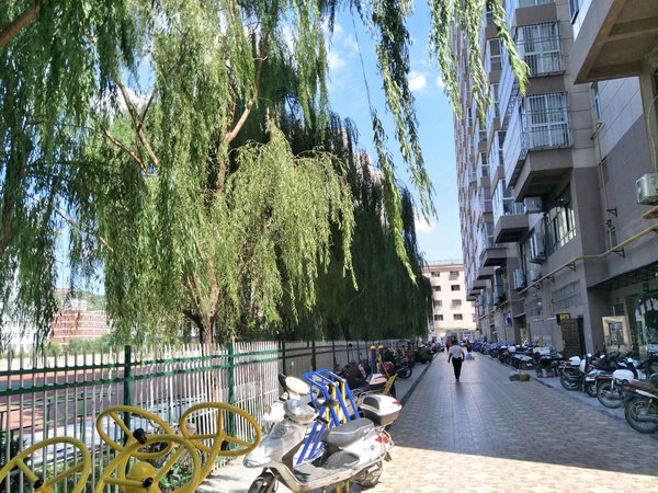 榆林小区 绥德小区 绥德城区小区 金阳光小区实景图 1/ 7  &