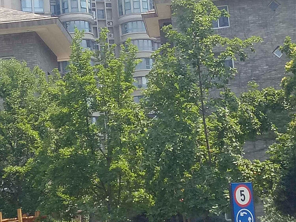 群贤庄 群贤路3号 西安群贤庄二手房 租房 西安安居客 群贤庄 群贤路3号 西安群贤庄二手房 租房 西安安居客